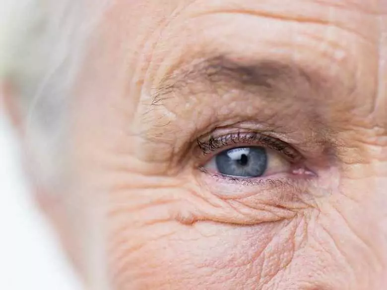 Le gène de la jeunesse