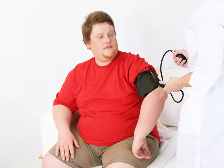 Le syndrome métabolique : une approche diététique de la prévention et du traitement