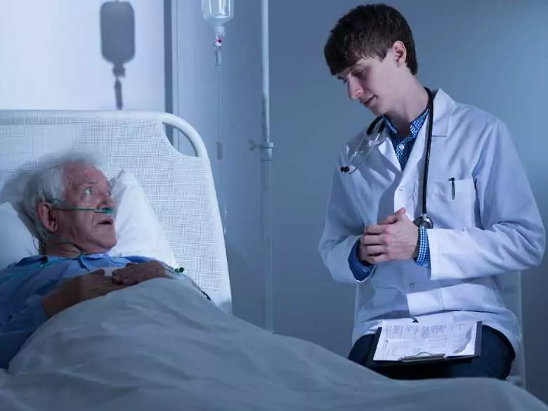 Sous-commission de la Diète : les médicaments seront fabriqués à partir de chanvre importé de l'étranger