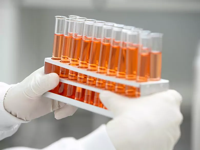 Des spécialistes polonais développent un fluide innovant pour la transplantation d'organes
