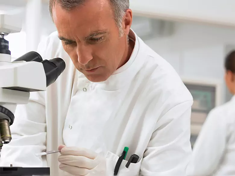 Culture de cellules souches de la peau