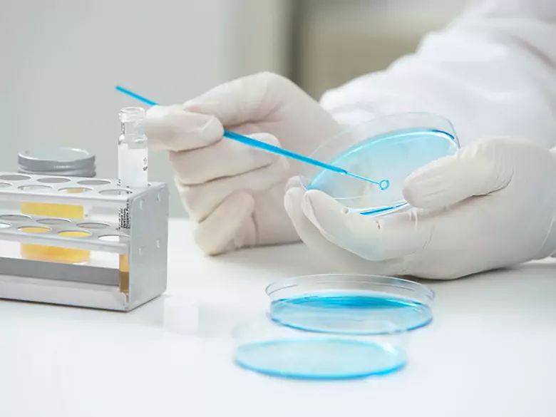 Tests cutanés d'allergie positifs