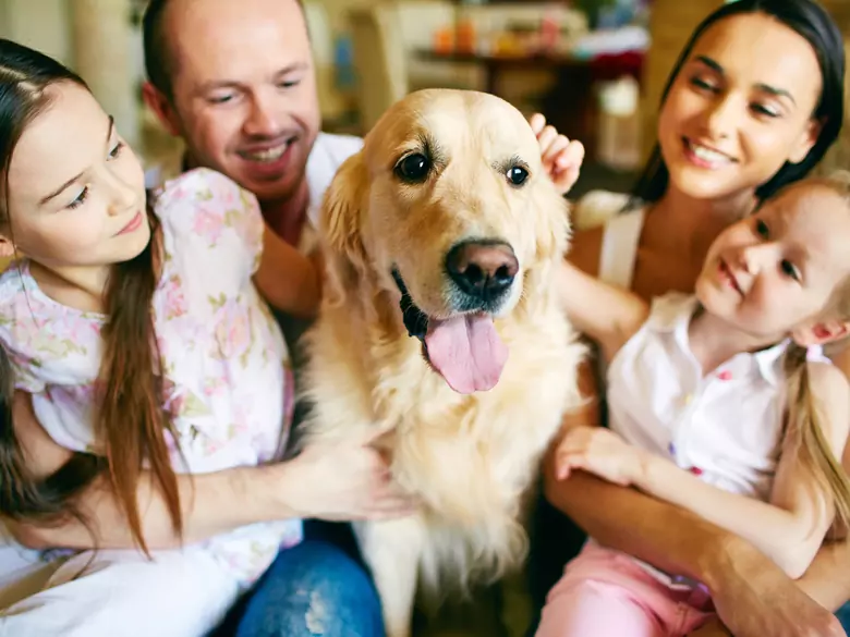 Le rôle des animaux dans la psychothérapie