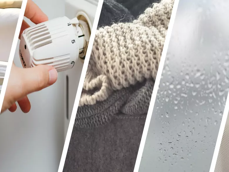 AleAlert : En hiver, les personnes allergiques doivent se méfier des acariens, de l'air sec et des moisissures