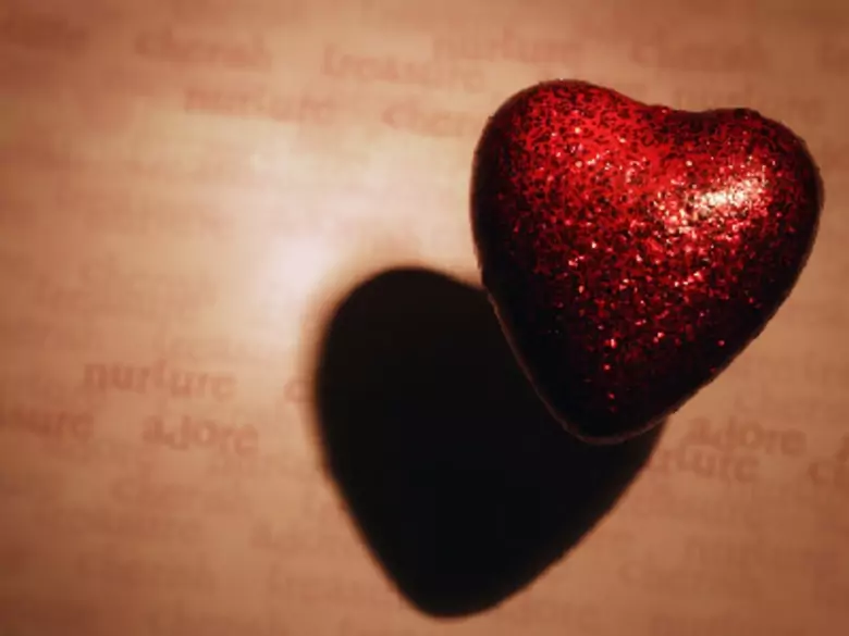 Structure du cœur humain