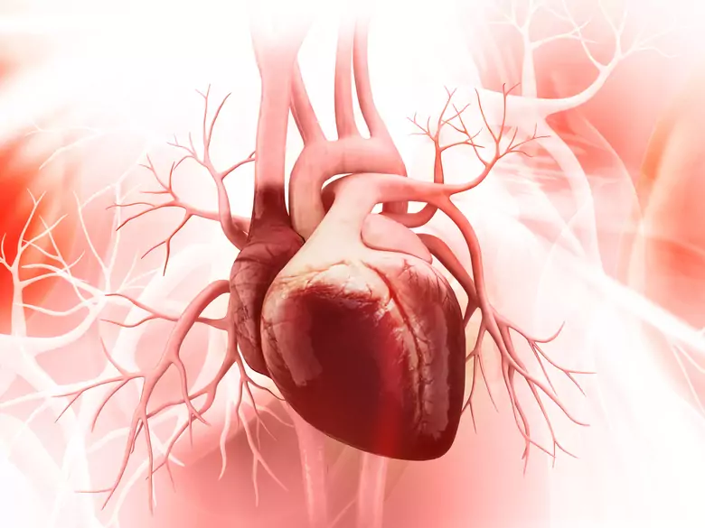 Sténose aortique : causes et symptômes de l'anomalie cardiaque valvulaire la plus courante