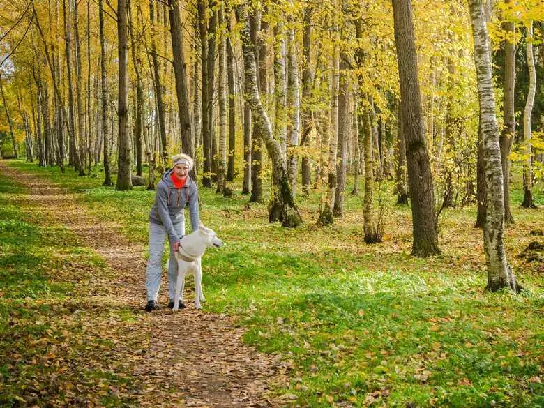Quels sont les avantages d'une pratique régulière de la marche ?