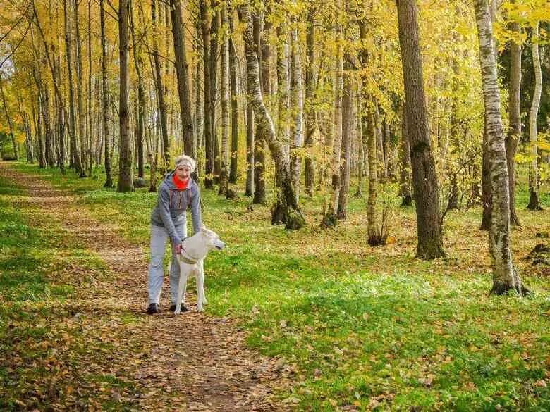 Qu'est-ce que la psychoterratica ?