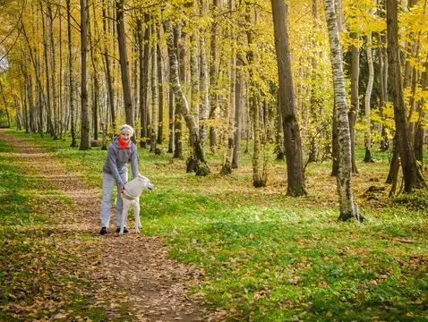 Qu'est-ce que la psychoterratica ?