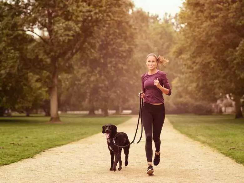 Le début du printemps - beau mais dangereux