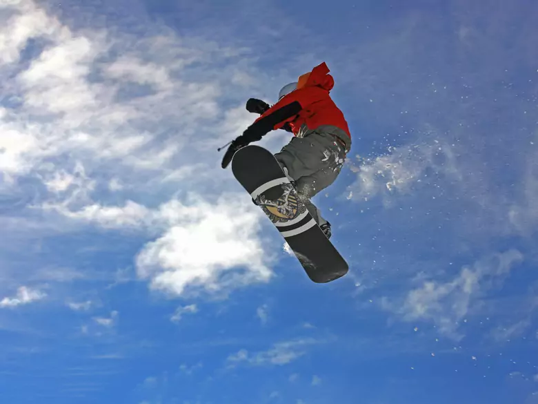 Recherche de nouveautés