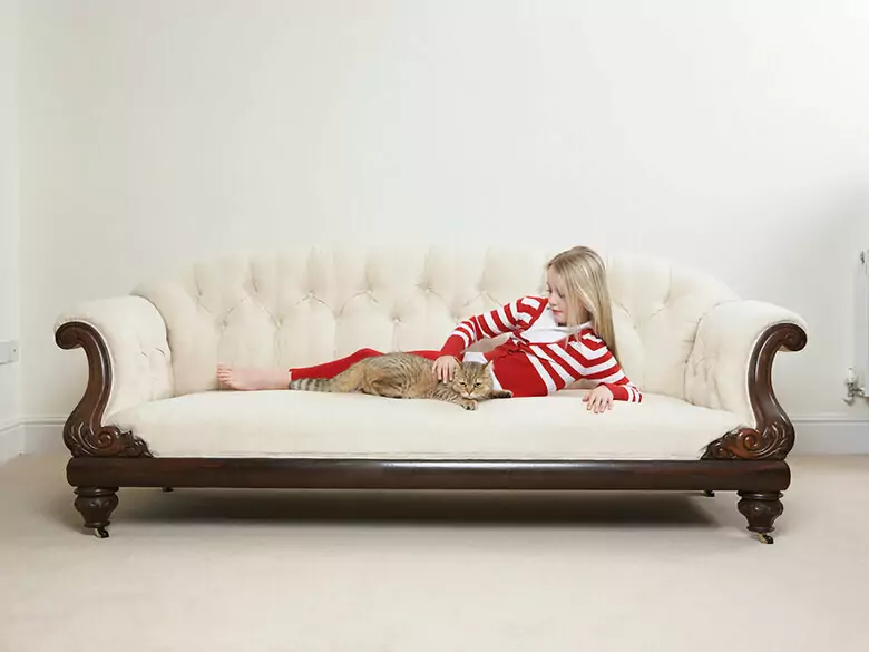 Le nettoyage de Noël vu par un allergologue