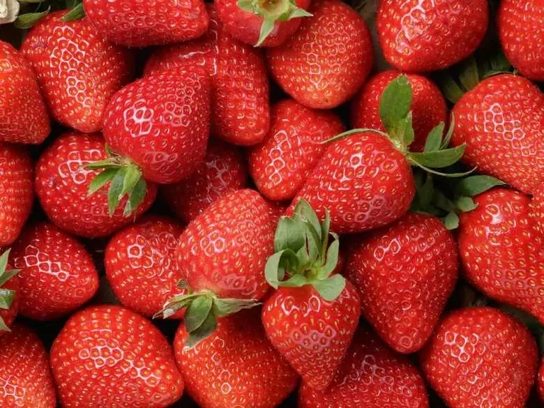 Quels sont les bienfaits de la consommation de fraises ?