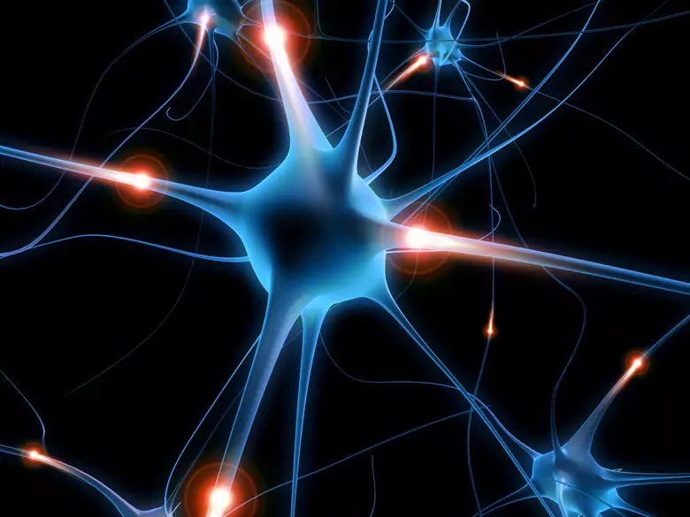 Risque de développer des maladies neurodégénératives