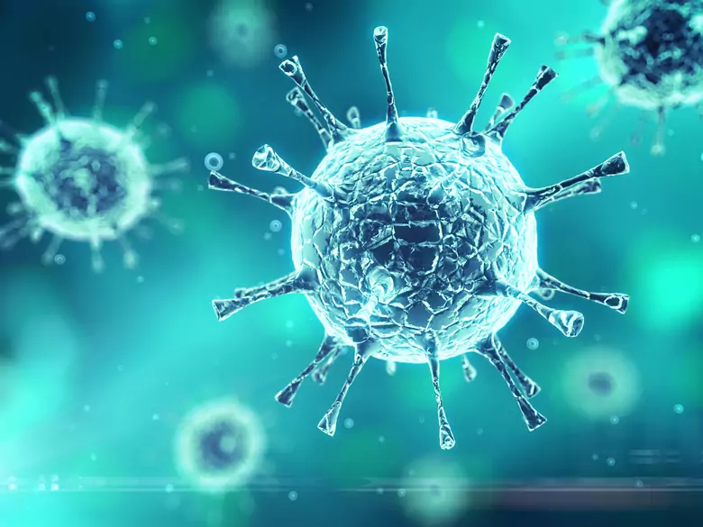 Infections à rotavirus chez l'enfant : tableau clinique et principes de prévention.