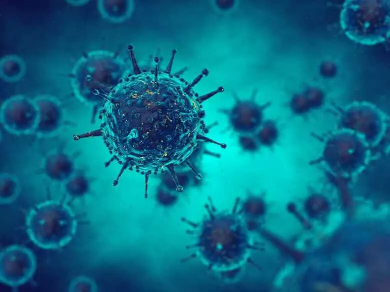 Mutations virales - découvrez leurs causes !