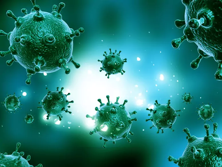 La Russie signale la première transmission à l'homme d'une souche du virus de la grippe aviaire