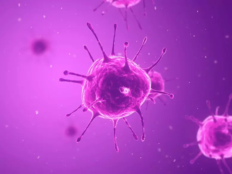 L'utilisation du test rapide de dépistage du virus Ebola est approuvée