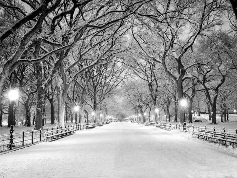 Prenez soin de votre psychisme en hiver