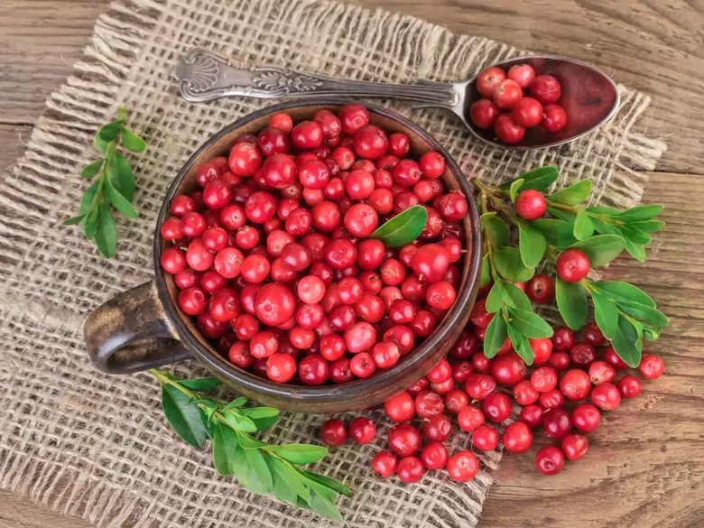 Qu'est-ce qu'un régime alimentaire sain pour les personnes atteintes d'une maladie rénale ?